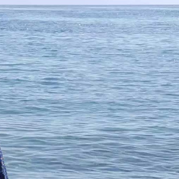 Meet your Posher, Arpa - Picture 1 of 1